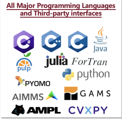 COPTProgrammingLanguages